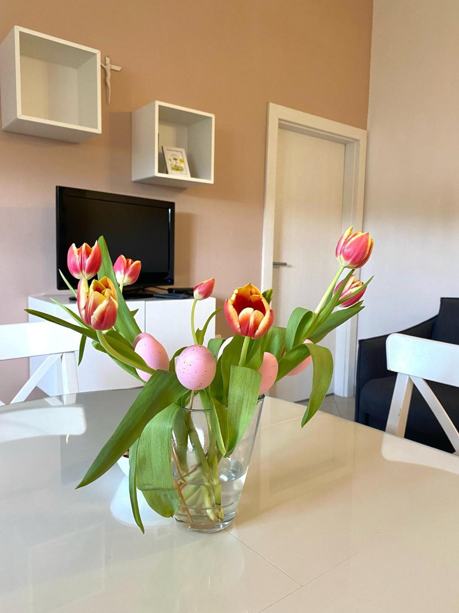 Apartments Maria Kukljica Extérieur photo